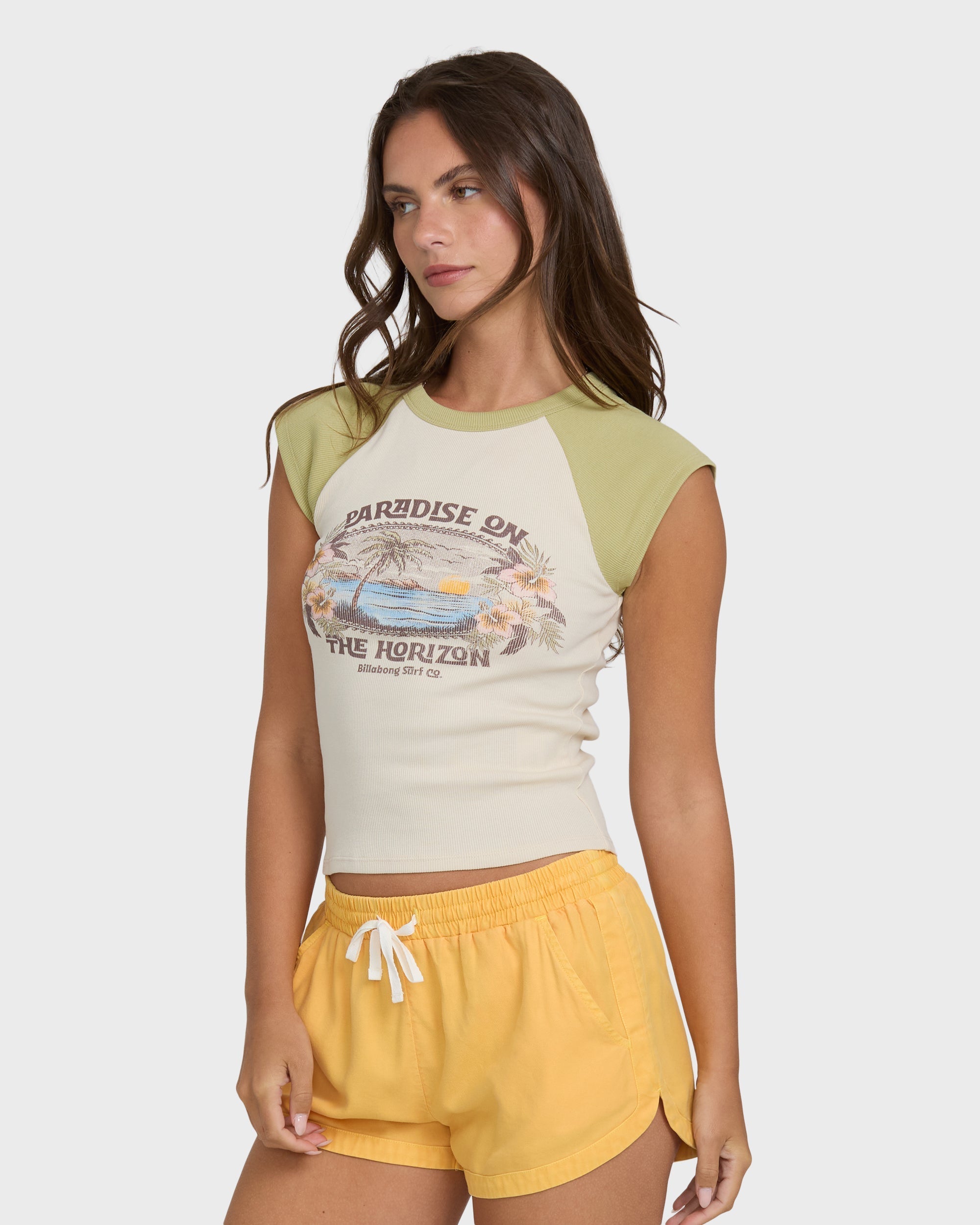 Billabong Horizon Raglan Short Sleeve Knit T-Shirt - Cactus
