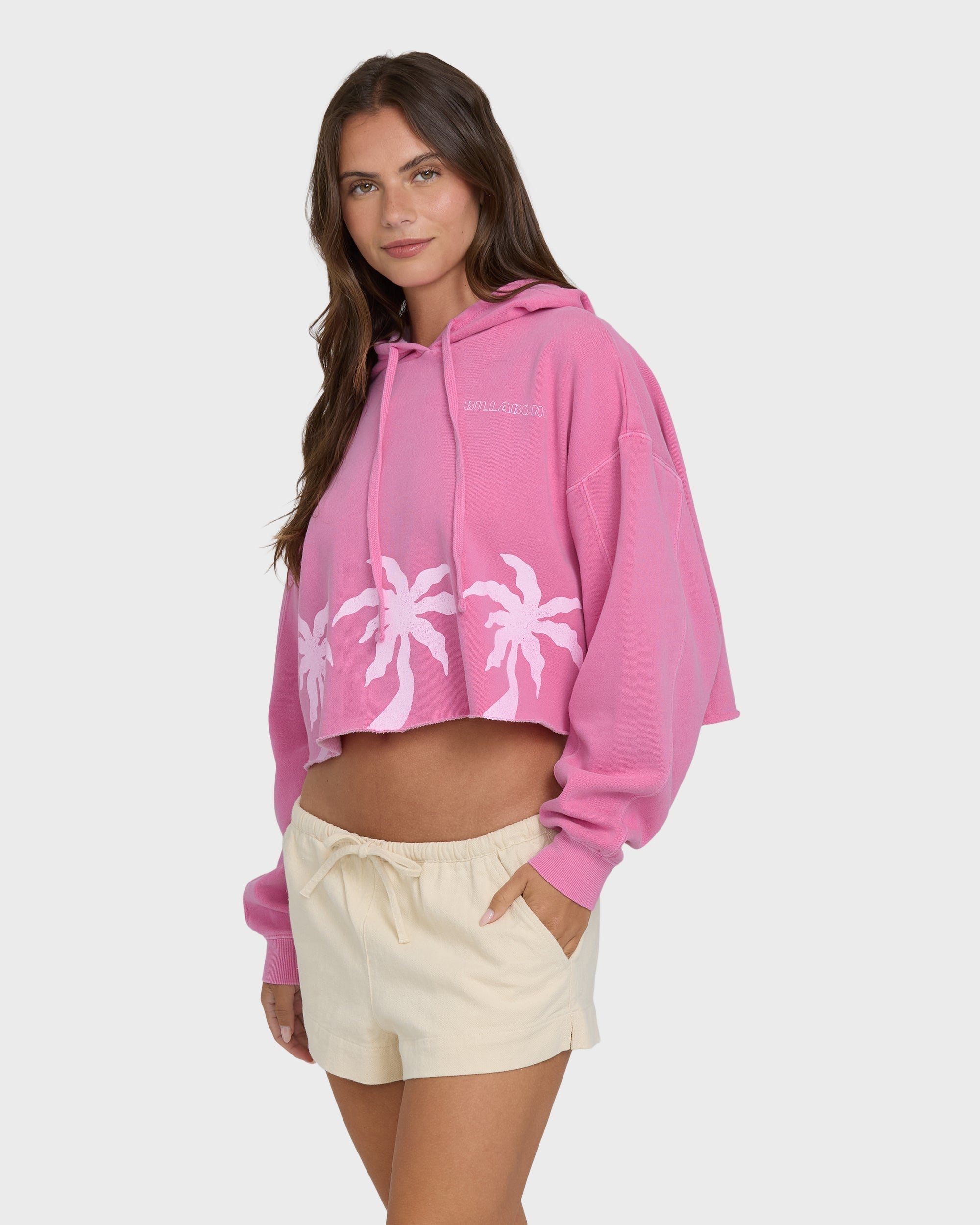 Billabong Palmer Hood Pullover Hoodie - Guava