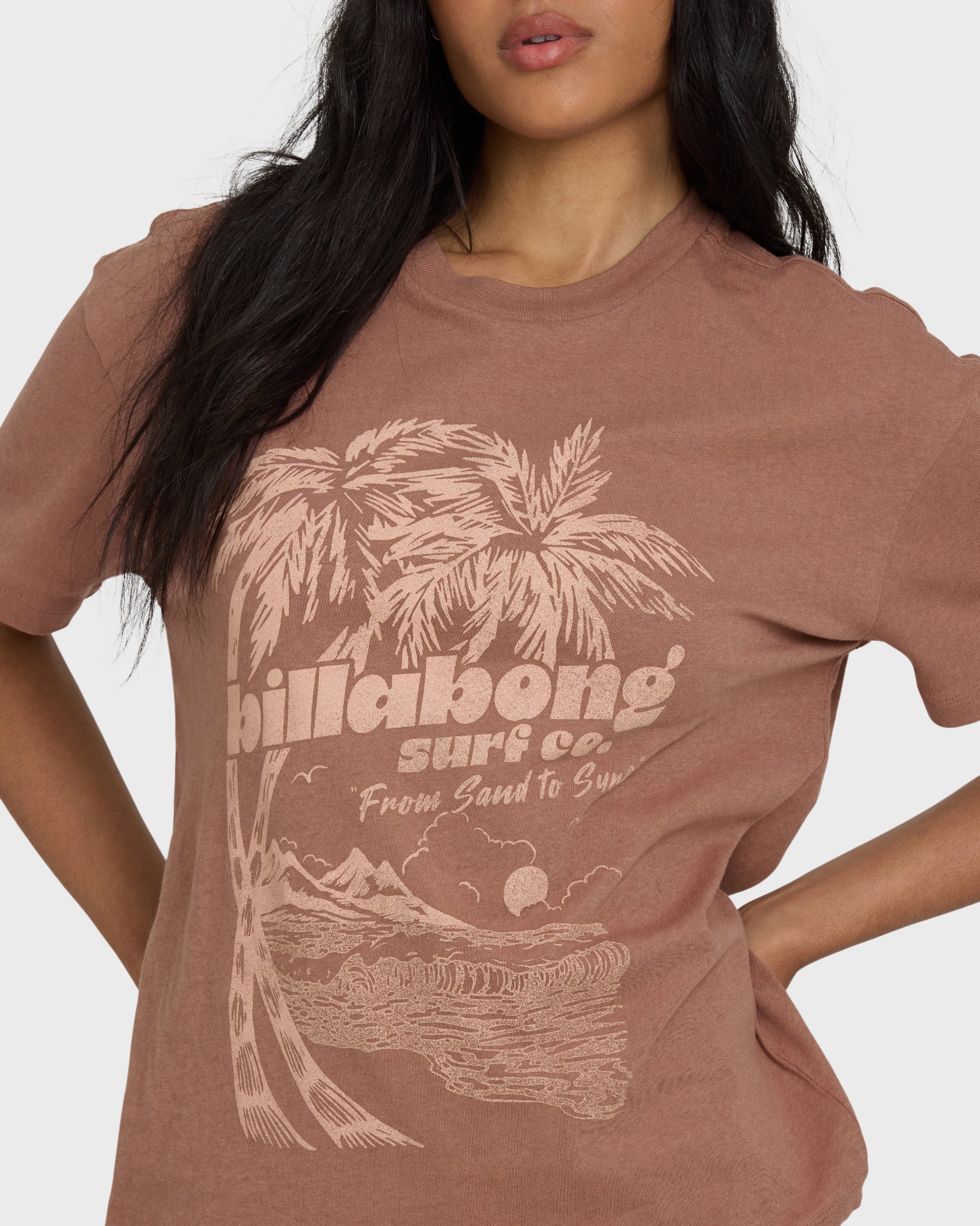 Billabong Sand To Surf Short Sleeve Knit Graphic T-Shirt - Brown Stone