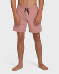 Billabong Dbah Panel Layback 16 Trunks - Ash Rose
