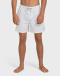 Billabong Every Other Day Wave Washed Layback 16 Trunks - Fog Gray