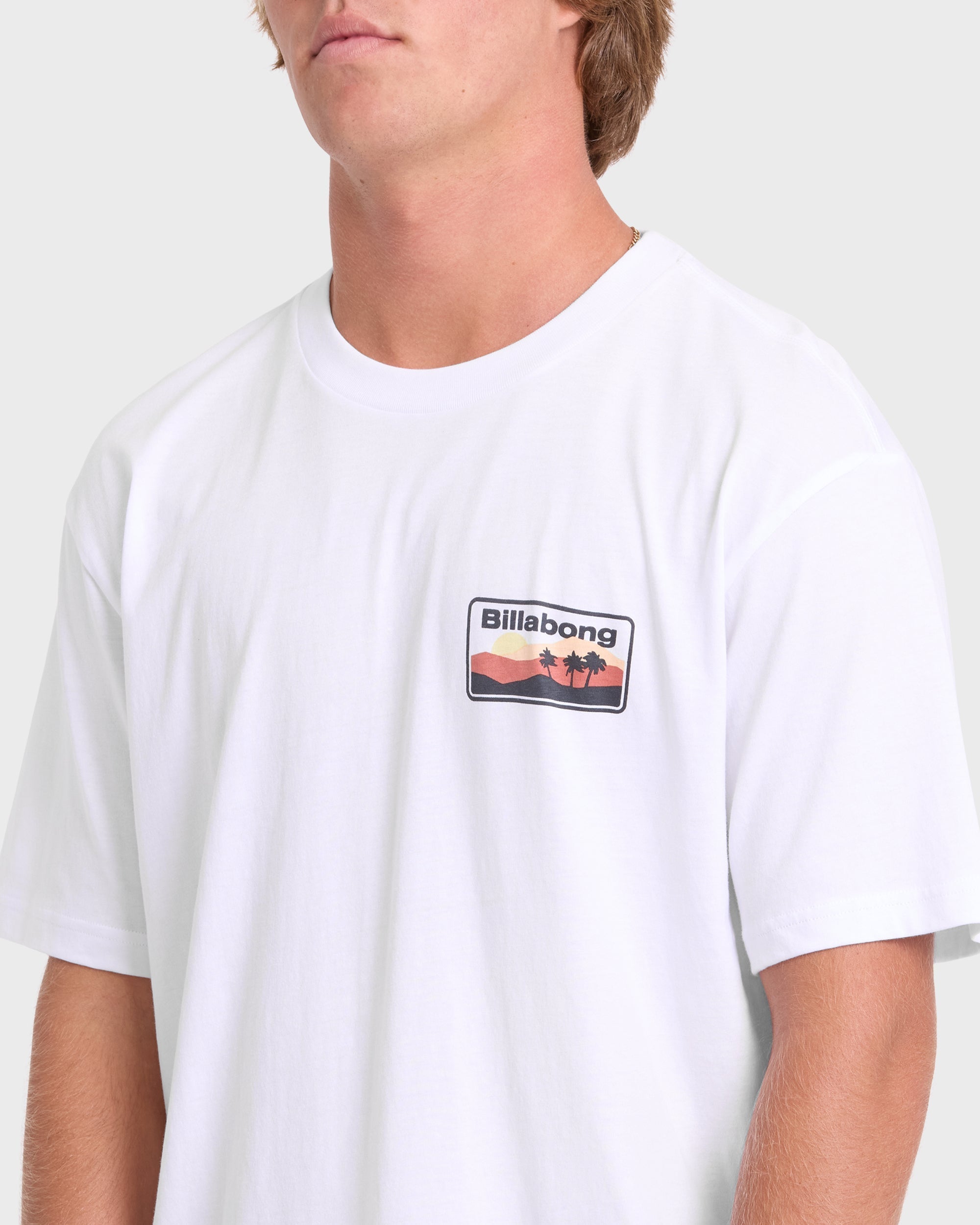 Billabong Adventure Division Range Premium Short Sleeve Knit T-Shirt - White