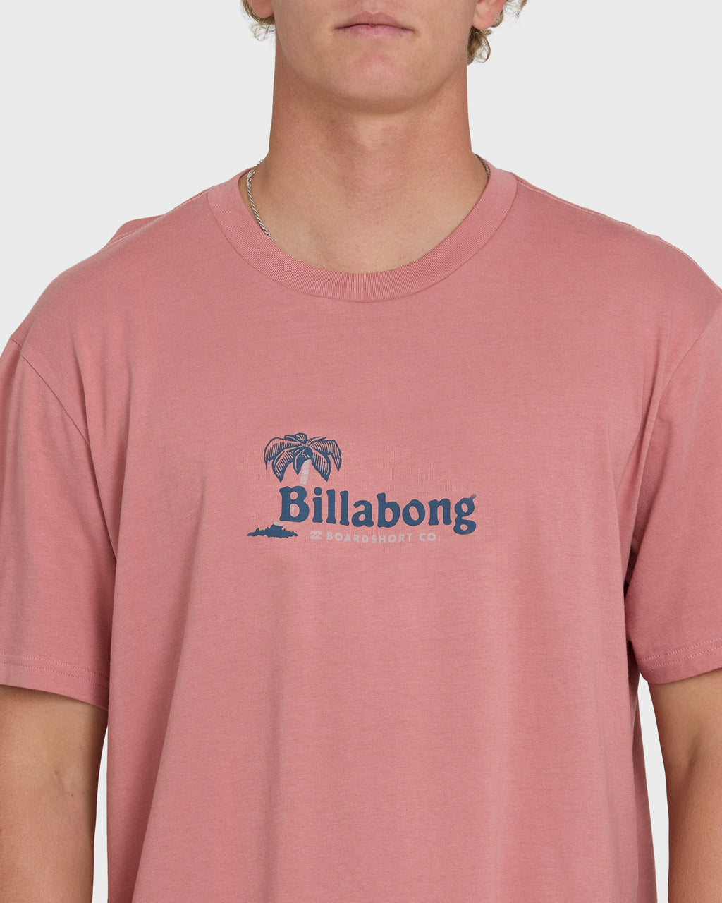 Billabong Check Out Premium Short Sleeve Knit T-Shirt - Ash Rose