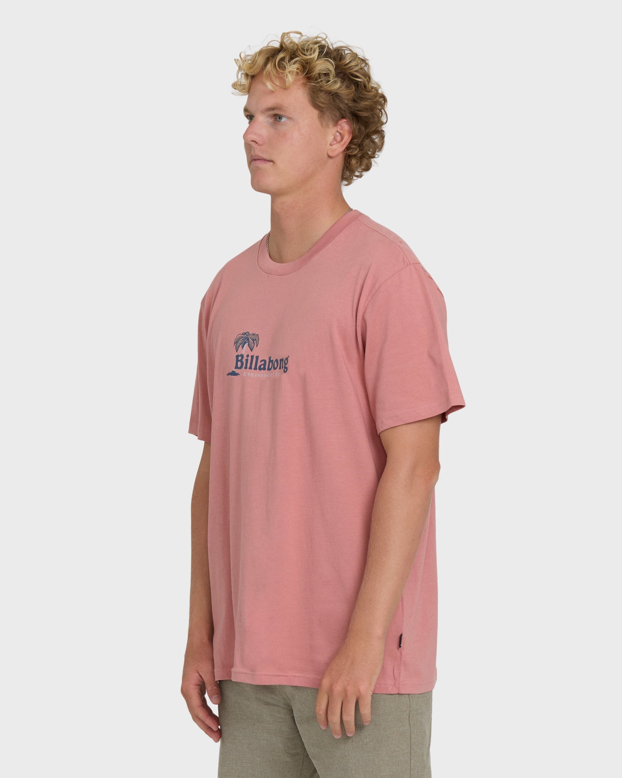 Billabong Check Out Premium Short Sleeve Knit T-Shirt - Ash Rose