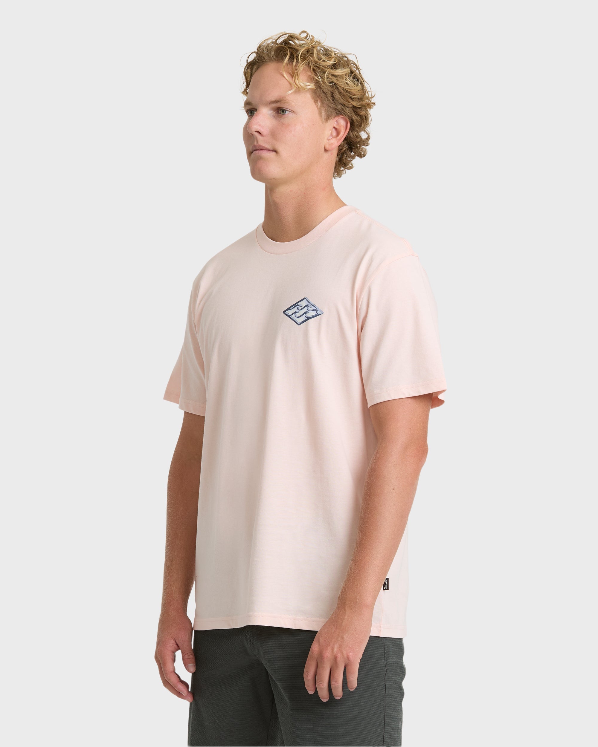 Billabong Dim Arch Premium Short Sleeve Knit T-Shirt - Light Pink