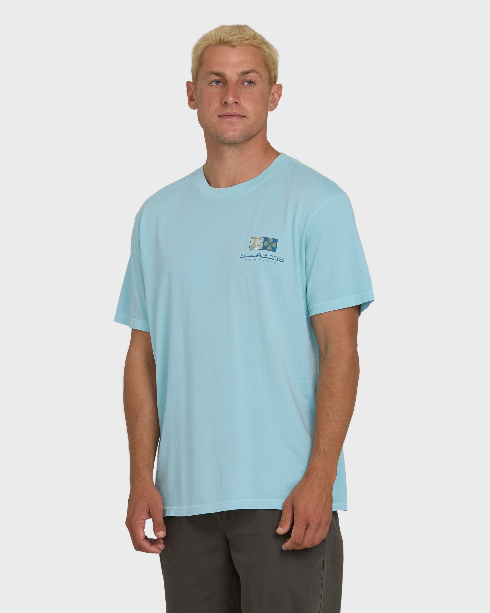 Billabong Glyph Wave Washed Premium Short Sleeve Cotton T-Shirt - Coastal Blue