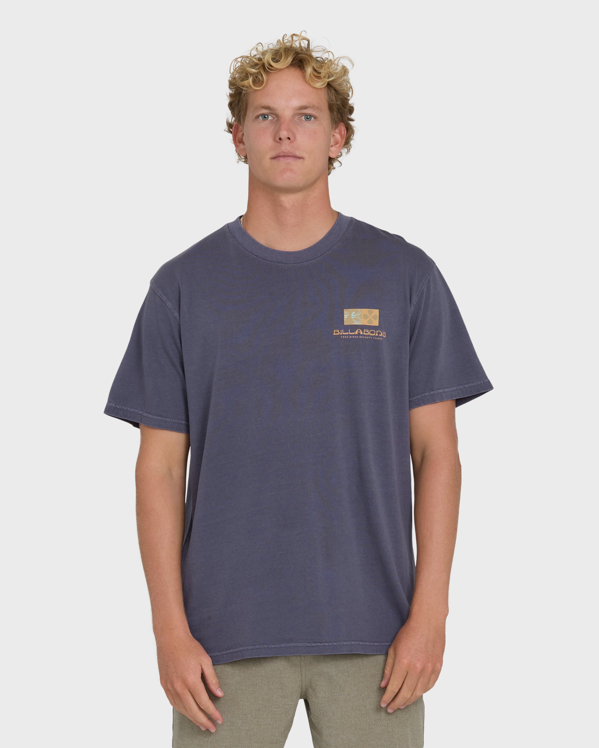 Billabong Glyph Wave Washed Premium Short Sleeve Cotton T-Shirt - Greystone