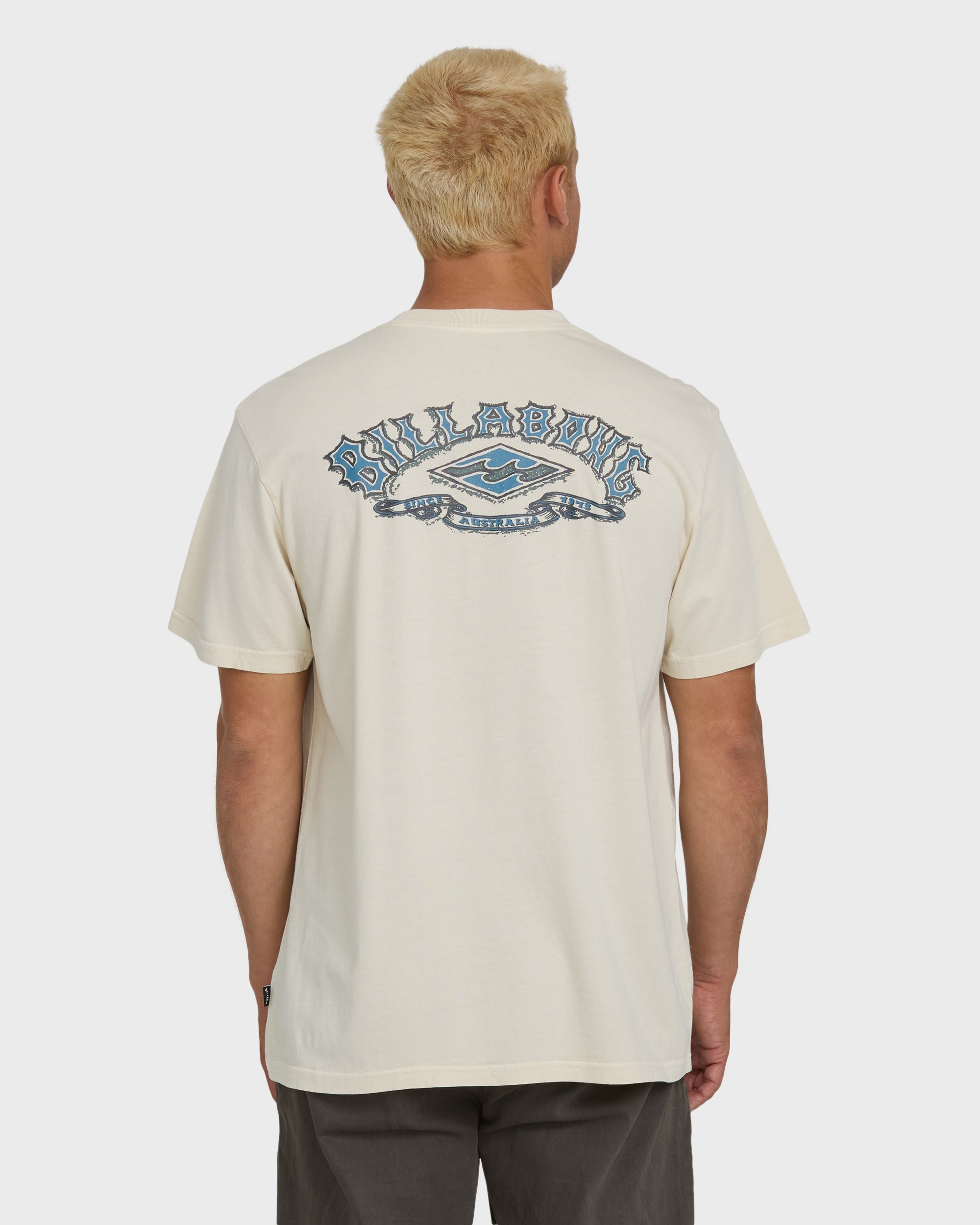 Billabong Heritage Arch Wave Washed Premium Short Sleeve Knit T-Shirt - Oatmeal