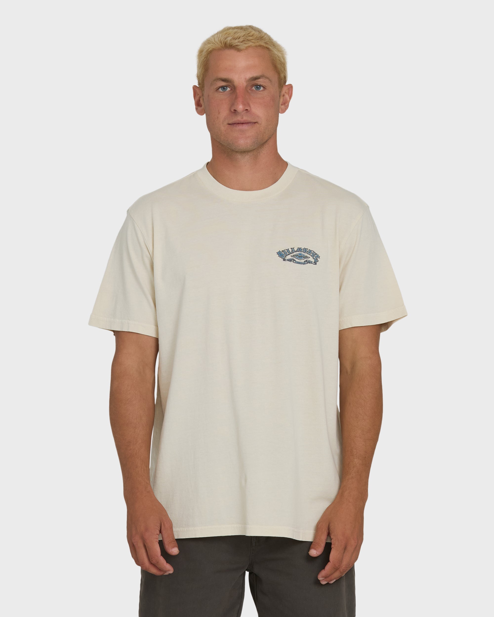 Billabong Heritage Arch Wave Washed Premium Short Sleeve Knit T-Shirt - Oatmeal
