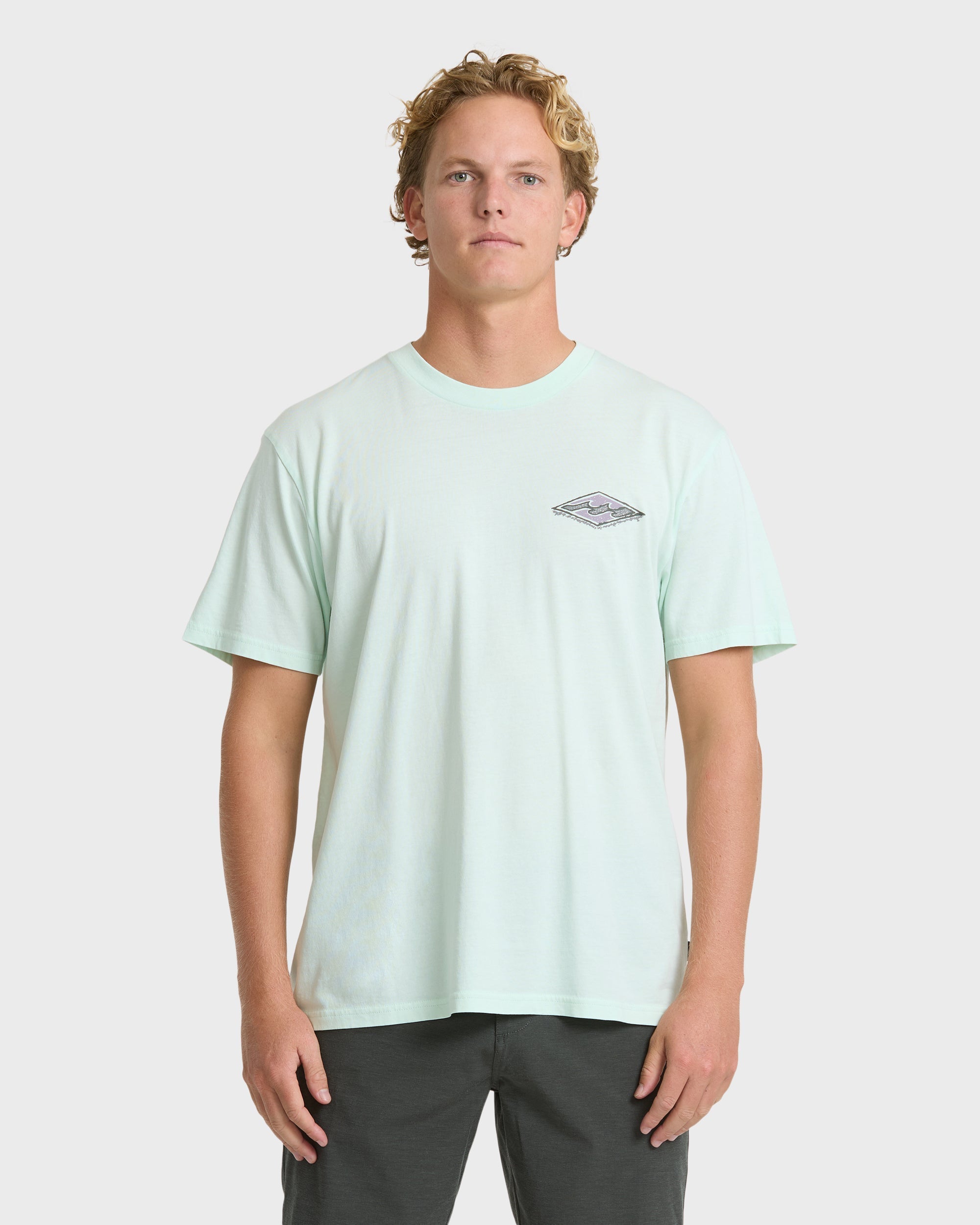 Billabong Heritage Arch Wave Washed Premium Short Sleeve Knit T-Shirt - Sea Glass