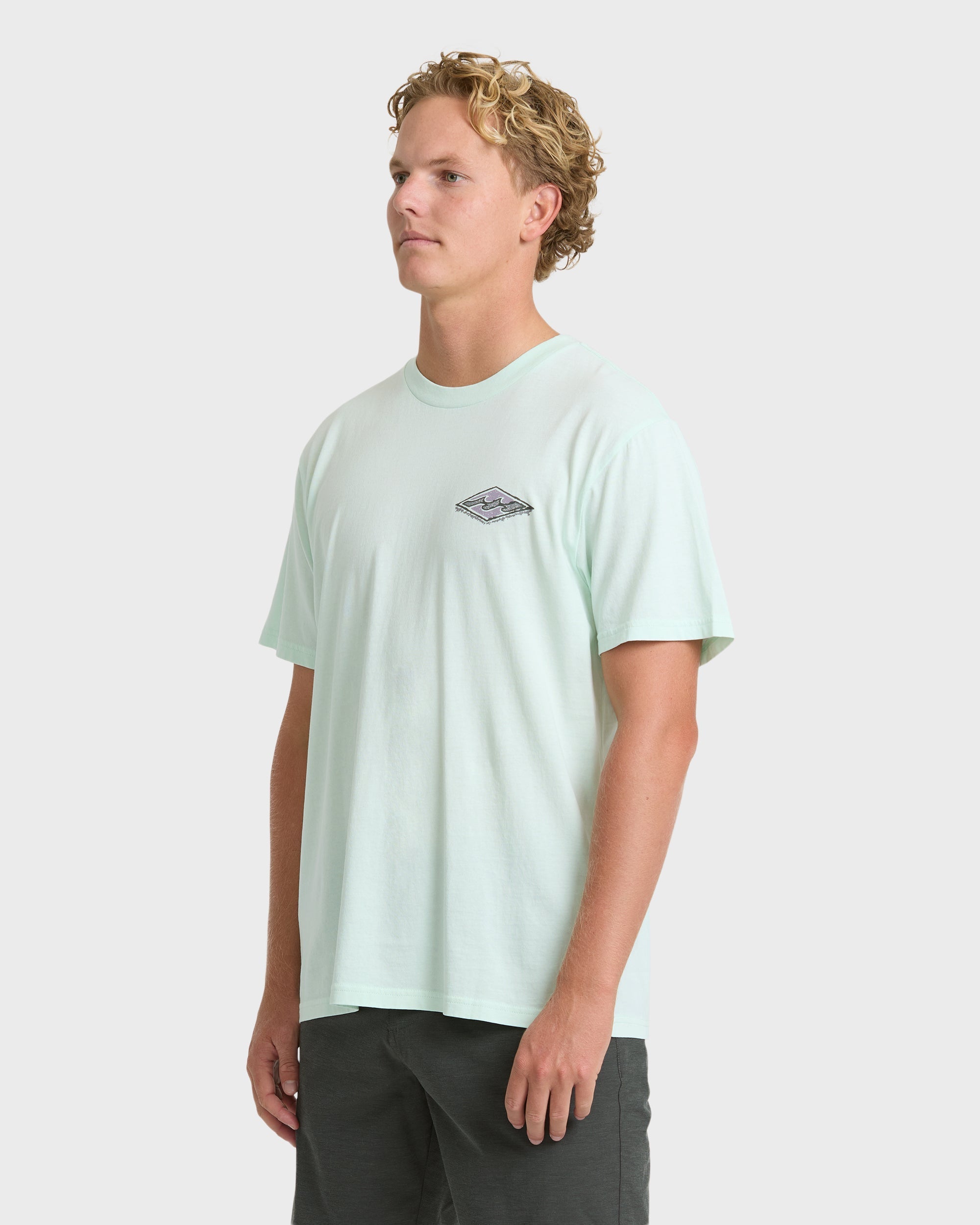 Billabong Heritage Arch Wave Washed Premium Short Sleeve Knit T-Shirt - Sea Glass
