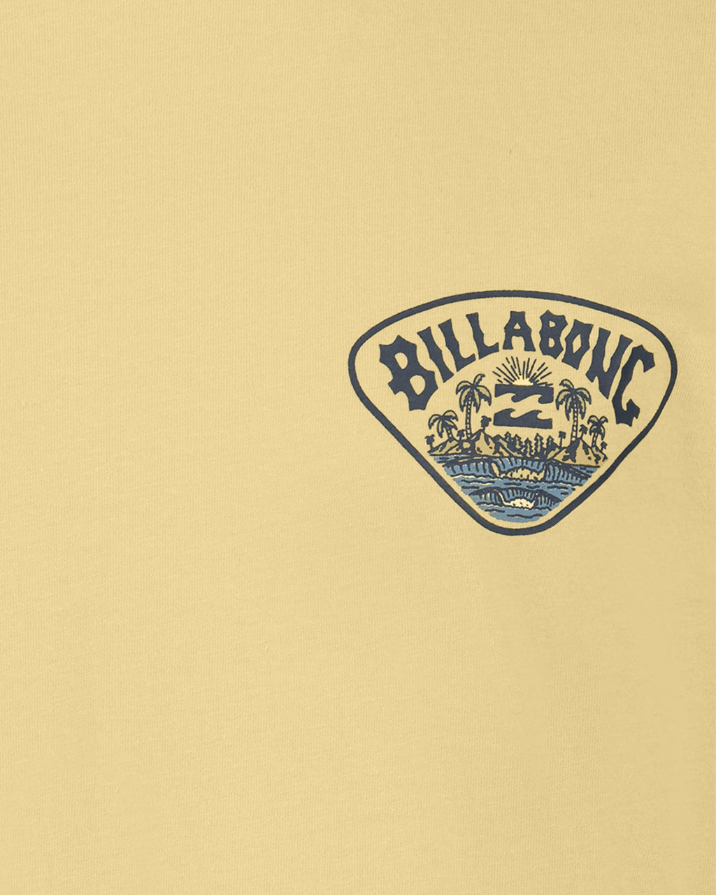 Billabong Boys Scenic Arch Short Sleeve T-Shirt