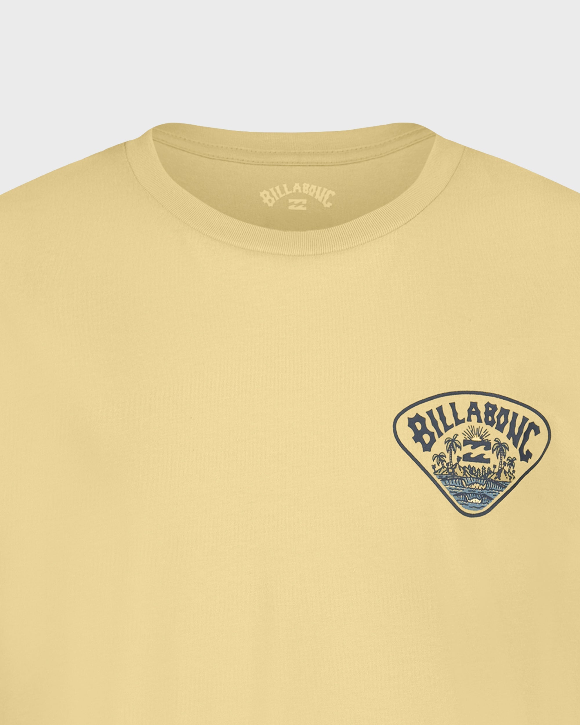Billabong Boys Scenic Arch Short Sleeve T-Shirt