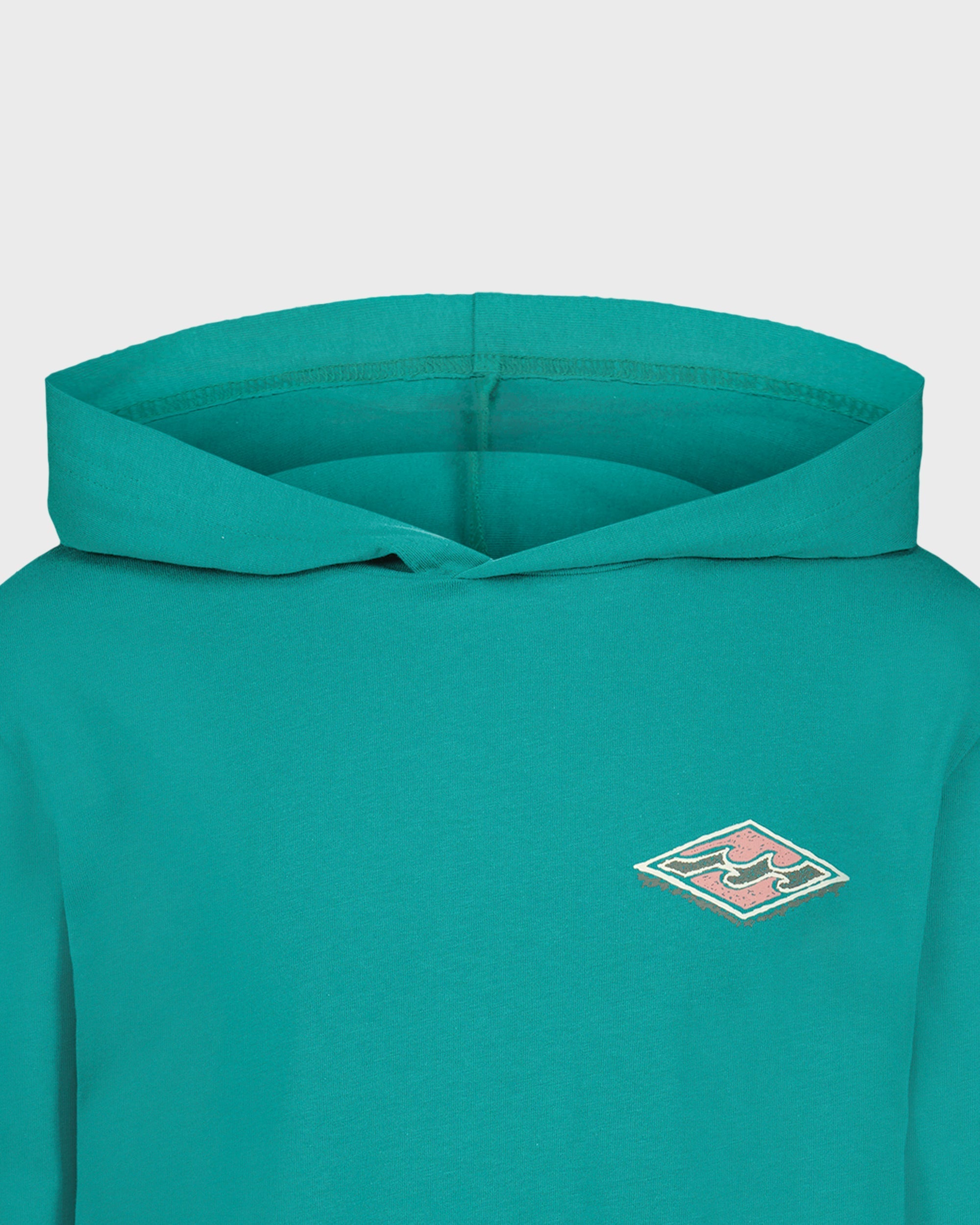Billabong Boys Heritage Arch Hooded Long Sleeve T-Shirt