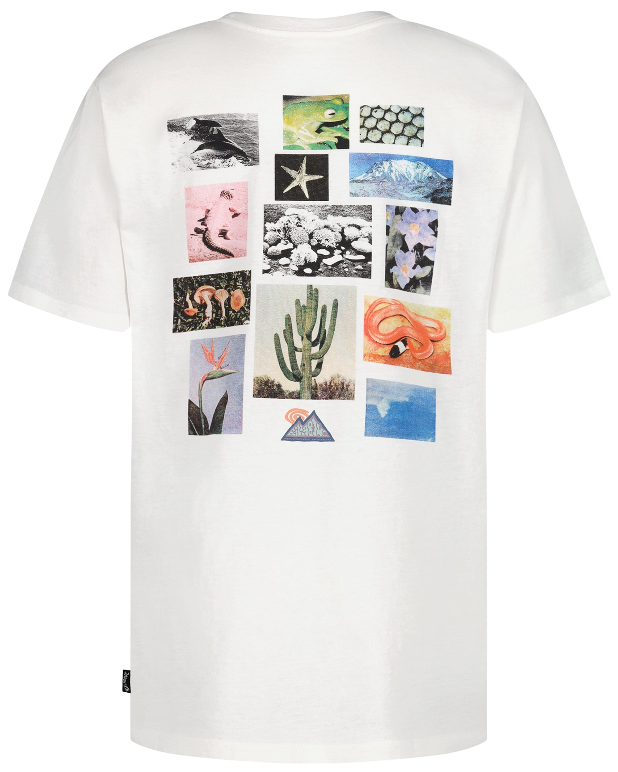 Billabong Boys Moments Short Sleeve T-Shirt
