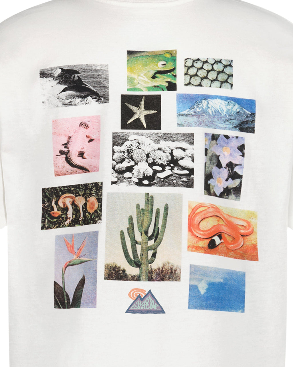 Billabong Boys Moments Short Sleeve T-Shirt