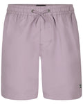 Billabong Boys All Day Layback Swim Trunks